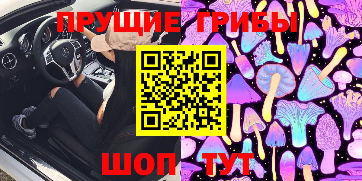 Псилоцибиновые грибы мицелий  наркошоп  Черногорск  Вход с VPN 