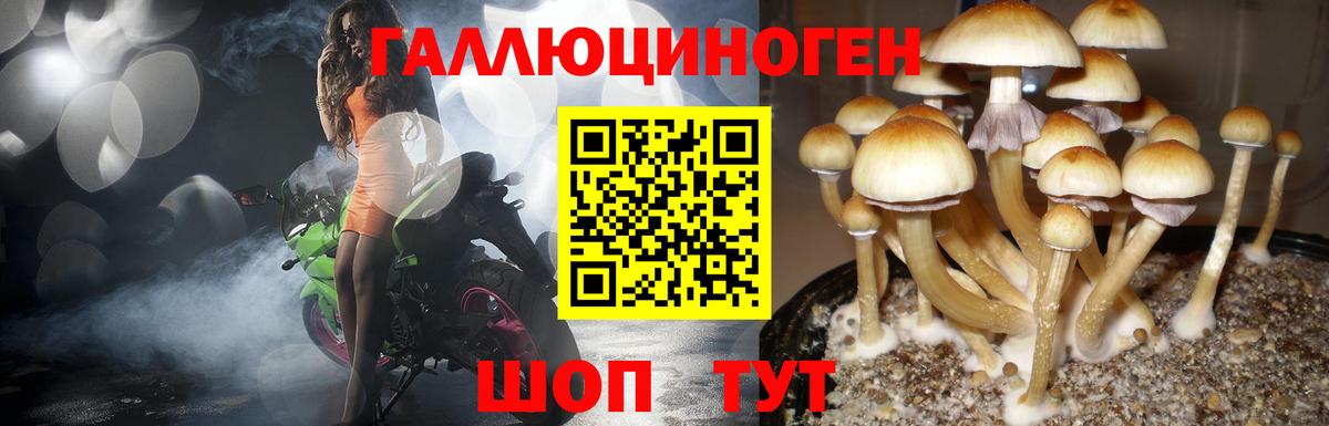 Галлюциногенные грибы MAGIC MUSHROOMS Черногорск